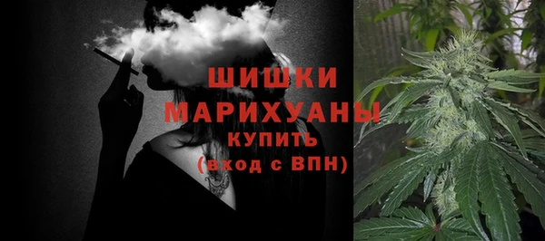 стаф Новозыбков