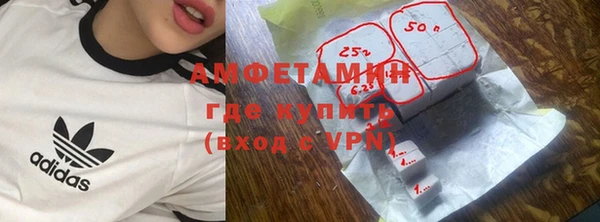 стаф Новозыбков