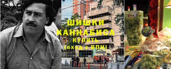 стаф Новозыбков