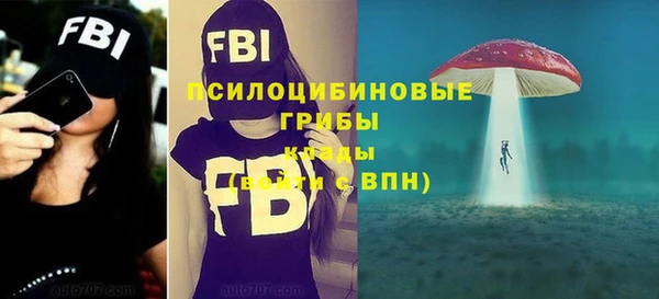марихуана Новодвинск