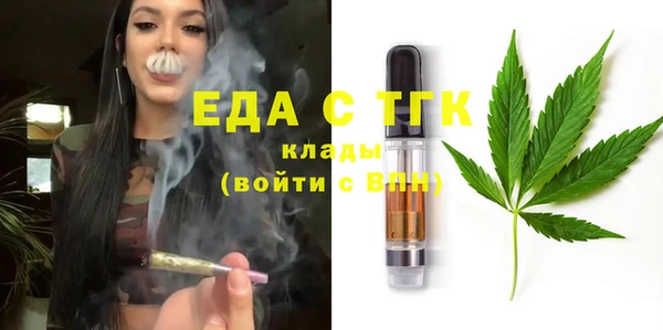 стаф Новозыбков
