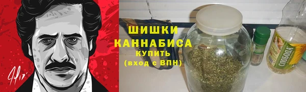 гидра Гусь-Хрустальный