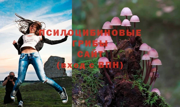 марихуана Новодвинск
