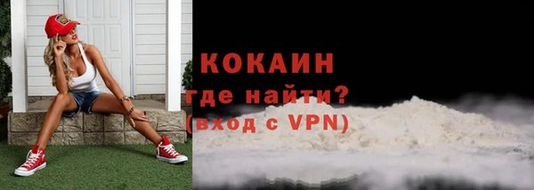 стаф Новозыбков