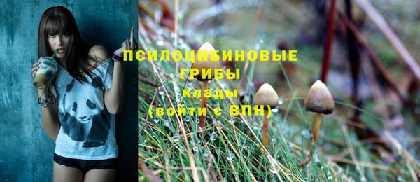 первитин Новокубанск