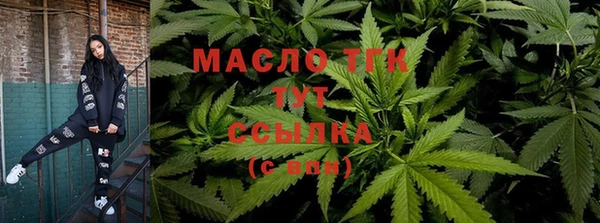 стаф Новозыбков