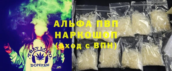 стаф Новозыбков